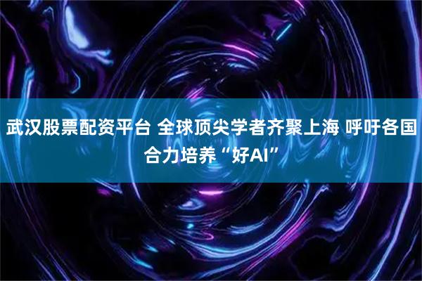 武汉股票配资平台 全球顶尖学者齐聚上海 呼吁各国合力培养“好AI”