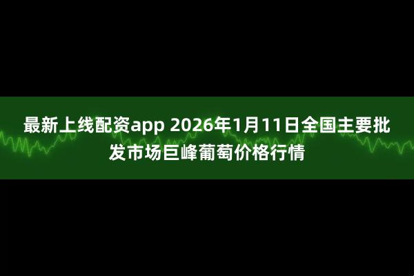 最新上线配资app 2026年1月11日全国主要批发市场巨峰葡萄价格行情