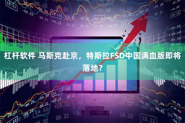 杠杆软件 马斯克赴京，特斯拉FSD中国满血版即将落地？