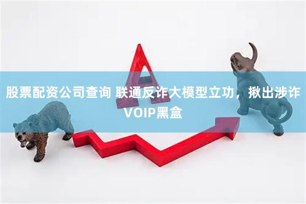 股票配资公司查询 联通反诈大模型立功，揪出涉诈VOIP黑盒